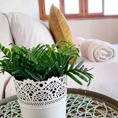 Dunas Dream Pool/chillout/ocean View